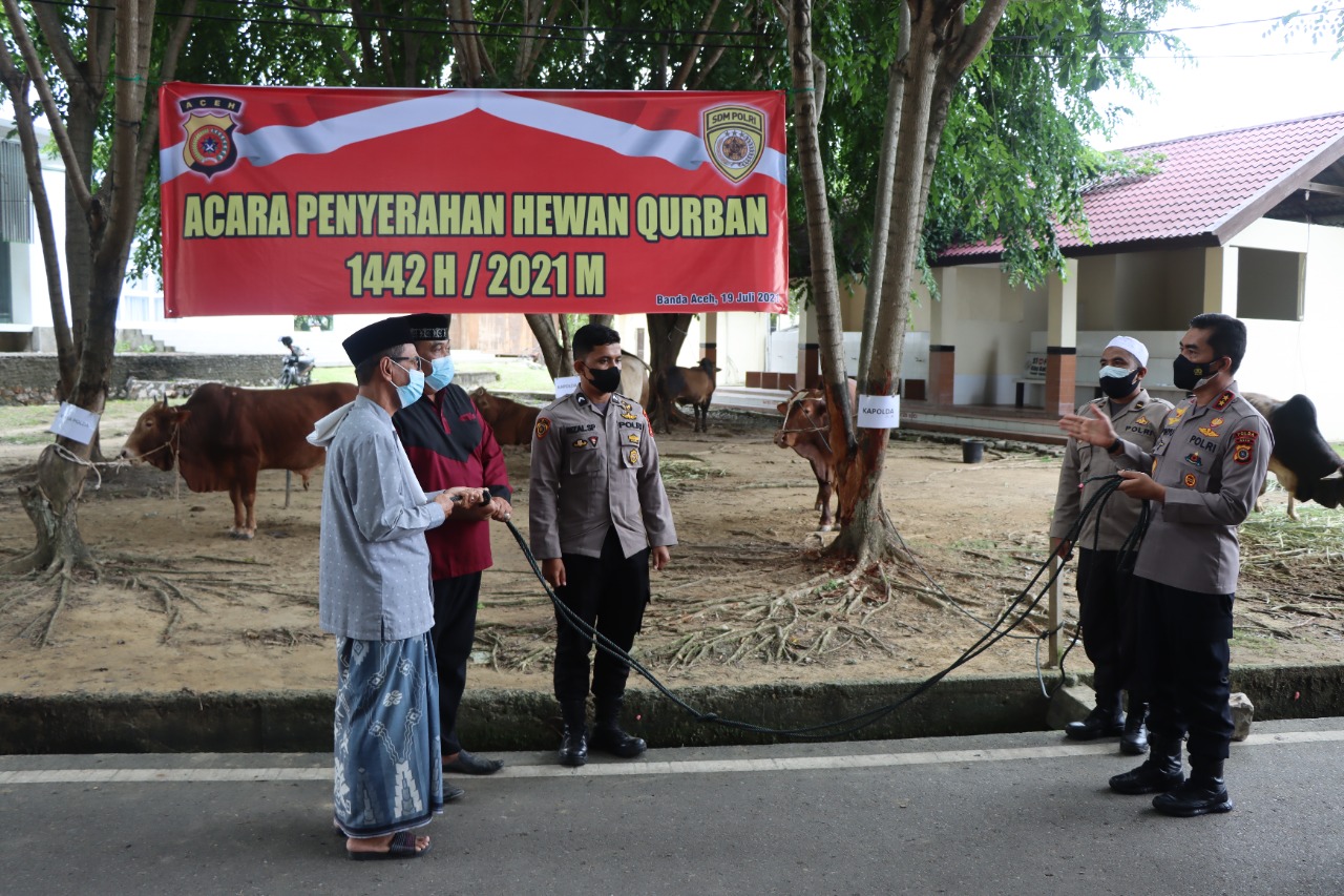 Kabid Humas : Kapolda Aceh Serahkan Hewan Qurban kepada Masyarakat