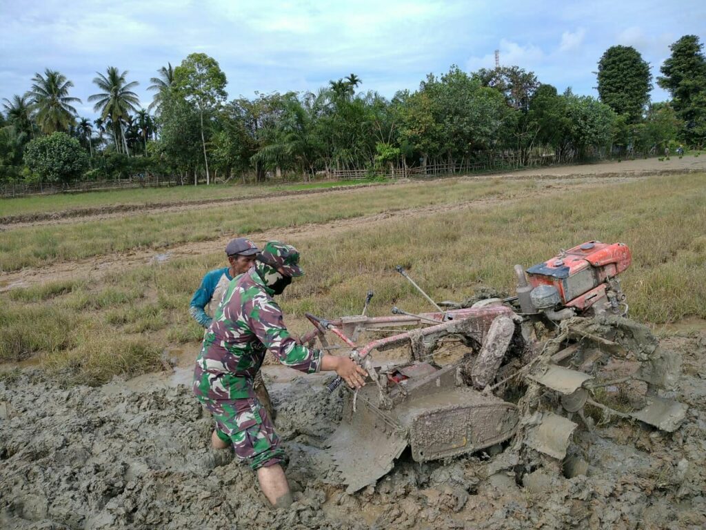 Babinsa Koramil Pirak Timur Bantu Petani Membajak Sawah