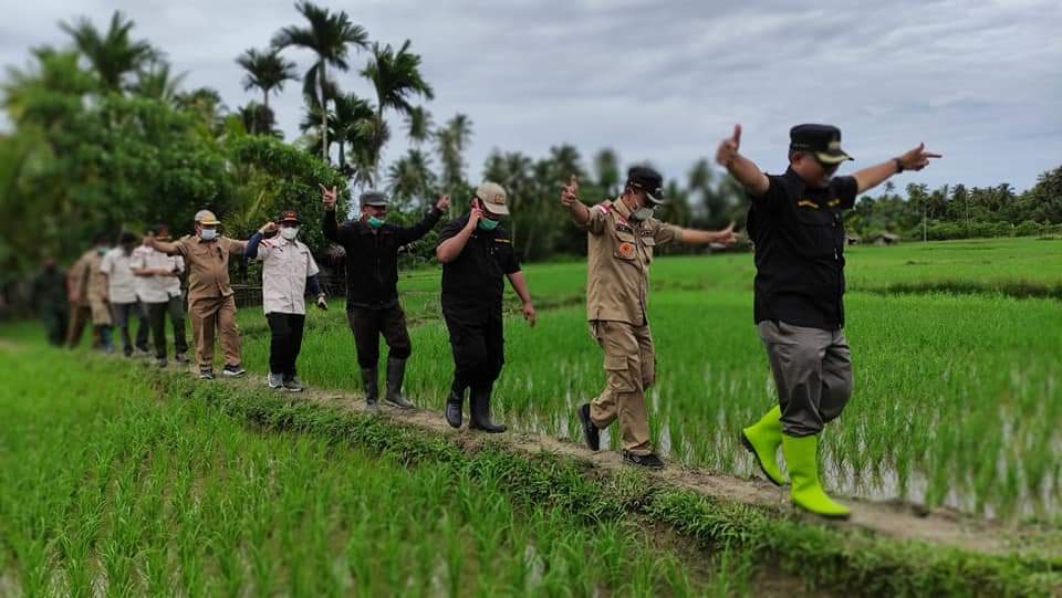 Pemkab Simeulue Kembali Buka Sawah Baru 7.000 Hektare