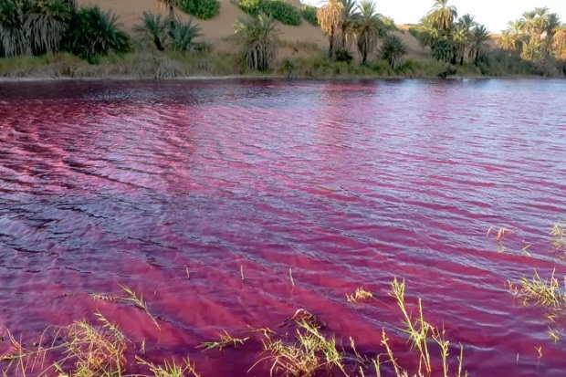 Heboh, Danau Dekat Laut Mati Berubah Jadi Merah Darah