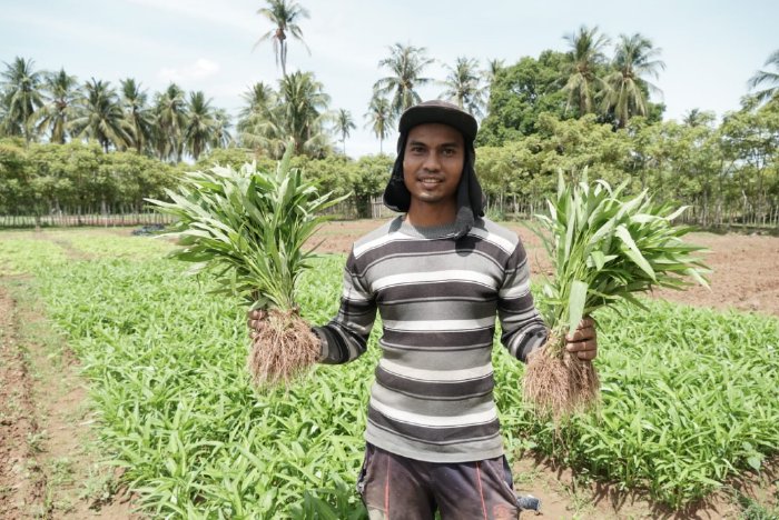 Sosok Radhie Petani Milenial Dari Aceh Besar