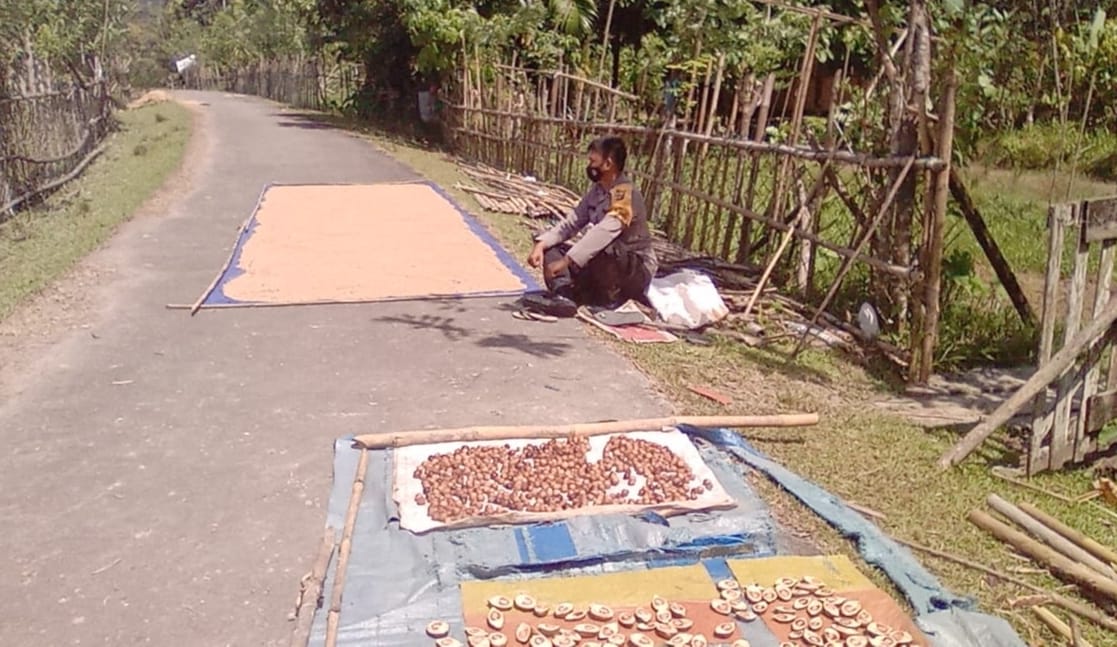 Polisi di Simeulue Rela Gantikan Jaga Gabah Agar Warga Bisa Ikut Vaksin