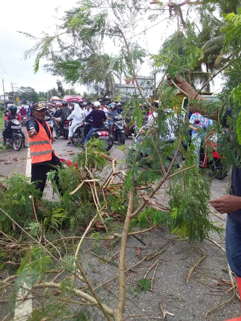 DLHK Aceh Utara Angkut 104 Ton Sampah dan Bersihkan Pohon Tumbang di Jalan Lintas