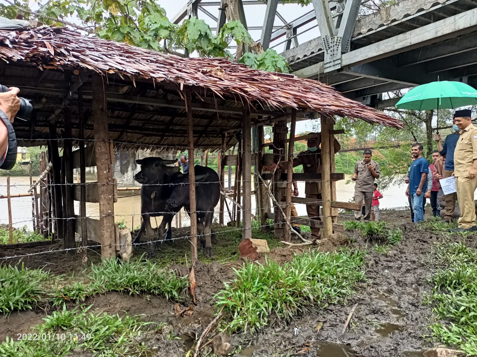 Serahkan Bantuan Ternak, Bupati Ramli MS: Ini Bentuk Kasih Sayang Pemerintah