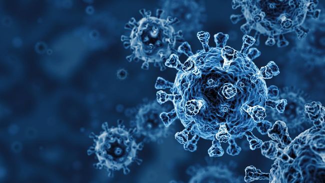 Virus Corona Infeksi 126 Orang Baru di Aceh, Tiga Meninggal Dunia Virus Corona Infeksi 126 Orang Baru di Aceh, Tiga Meninggal Dunia