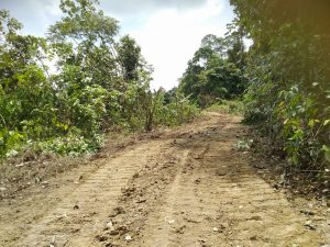 Warga Langkahan Buka Jalan Prakarsa Secara Swadaya, Pemkab Aceh Utara Ikut Bantu Alat Berat