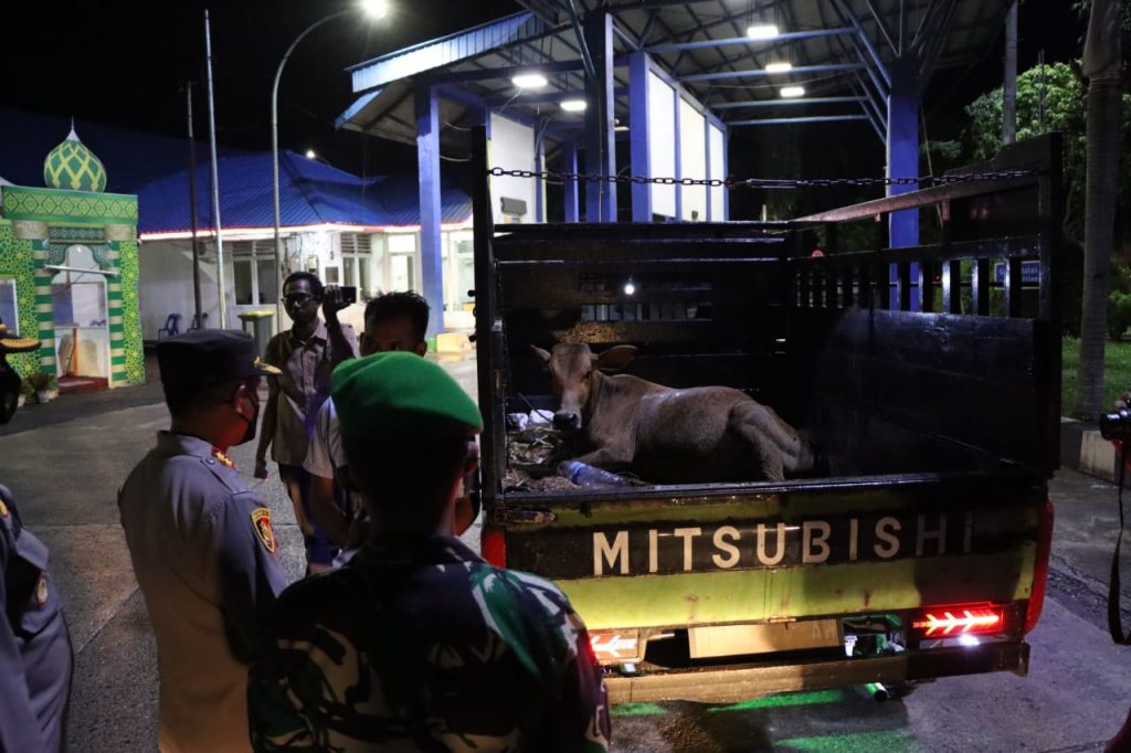 Ada Wabah PMK, Polisi Perketat Aturan Masuk Angkutan Hewan ke Aceh
