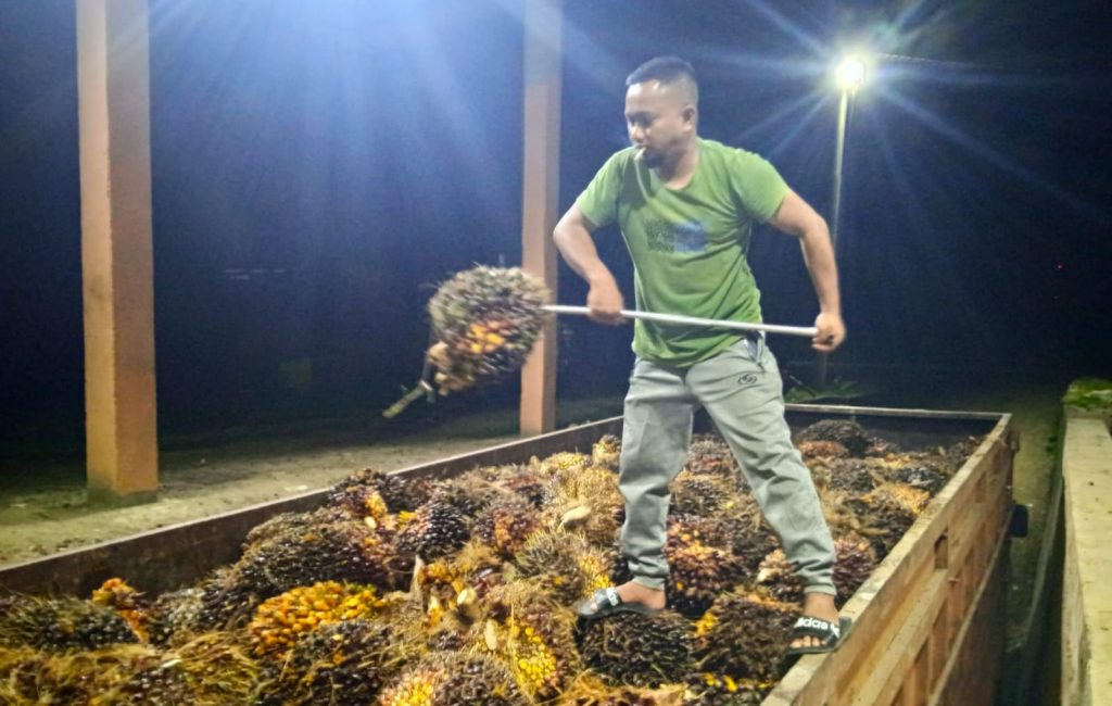 Petani Sawit Aceh Apresiasi Kebijakan Presiden Cabut Larangan Ekspor CPO