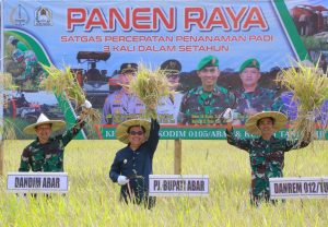 Pj Bupati Aceh Barat Hadiri Panen Raya Padi di Samatiga