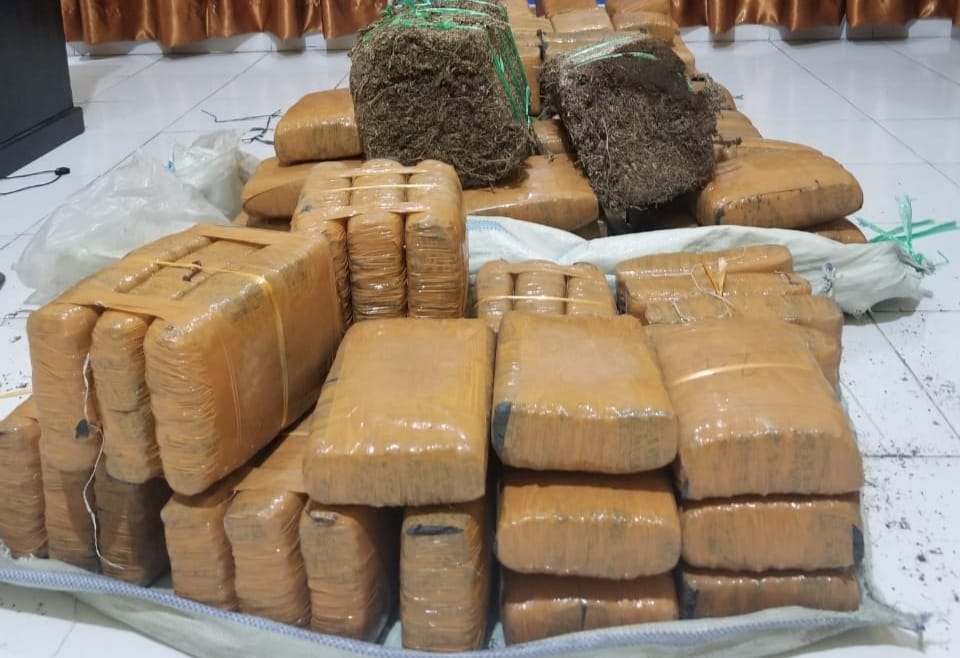 Tangkap DPO Narkoba, Polda Aceh Turut Amankan 147 Kilogram Ganja