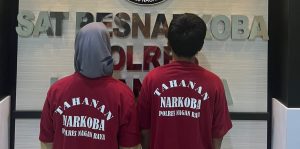 Jual Narkoba, Pasutri Ditangkap di Kebun Sawit