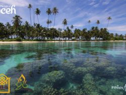 Eksotisnya Surga Terumbu Karang di Pulau Asok Aceh Singkil