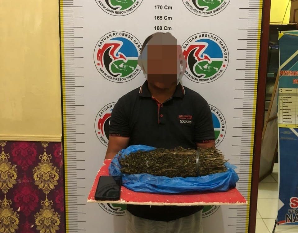 Polisi Tangkap Dua Pengedar Ganja di Simeulue