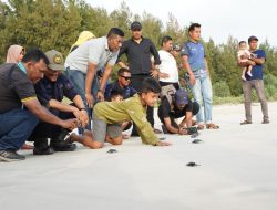 Ketua DPRA Pon Yaya Lepas Bayi Penyu Bersama Warga Pulo Aceh