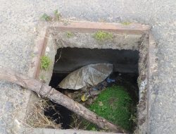 Warga Lhokseumawe Minta Pemko Perbaiki Penutup Gorong-gorong di Uteun Bayi