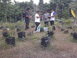 Pemkab Aceh Besar Berikan Bantuan Benih Komoditi Unggulan untuk 5 Gampong di Pulo Ace