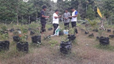 Pemkab Aceh Besar Berikan Bantuan Benih Komoditi Unggulan untuk 5 Gampong di Pulo Ace