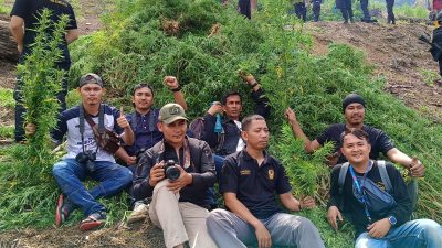 Korem 012/ Teuku Umar Temukan 40 Hektare Ladang Ganja
