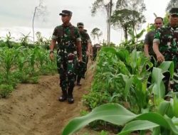 Pangdam Iskandar Muda Luncurkan Program I’M Jagong di Lahan 3 Ribu Hektare