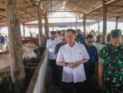 Pemkab Aceh Jaya Gelar Penertiban Ternak Berbasis Pemberdayaan