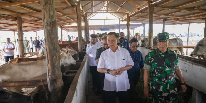 Pemkab Aceh Jaya Gelar Penertiban Ternak Berbasis Pemberdayaan
