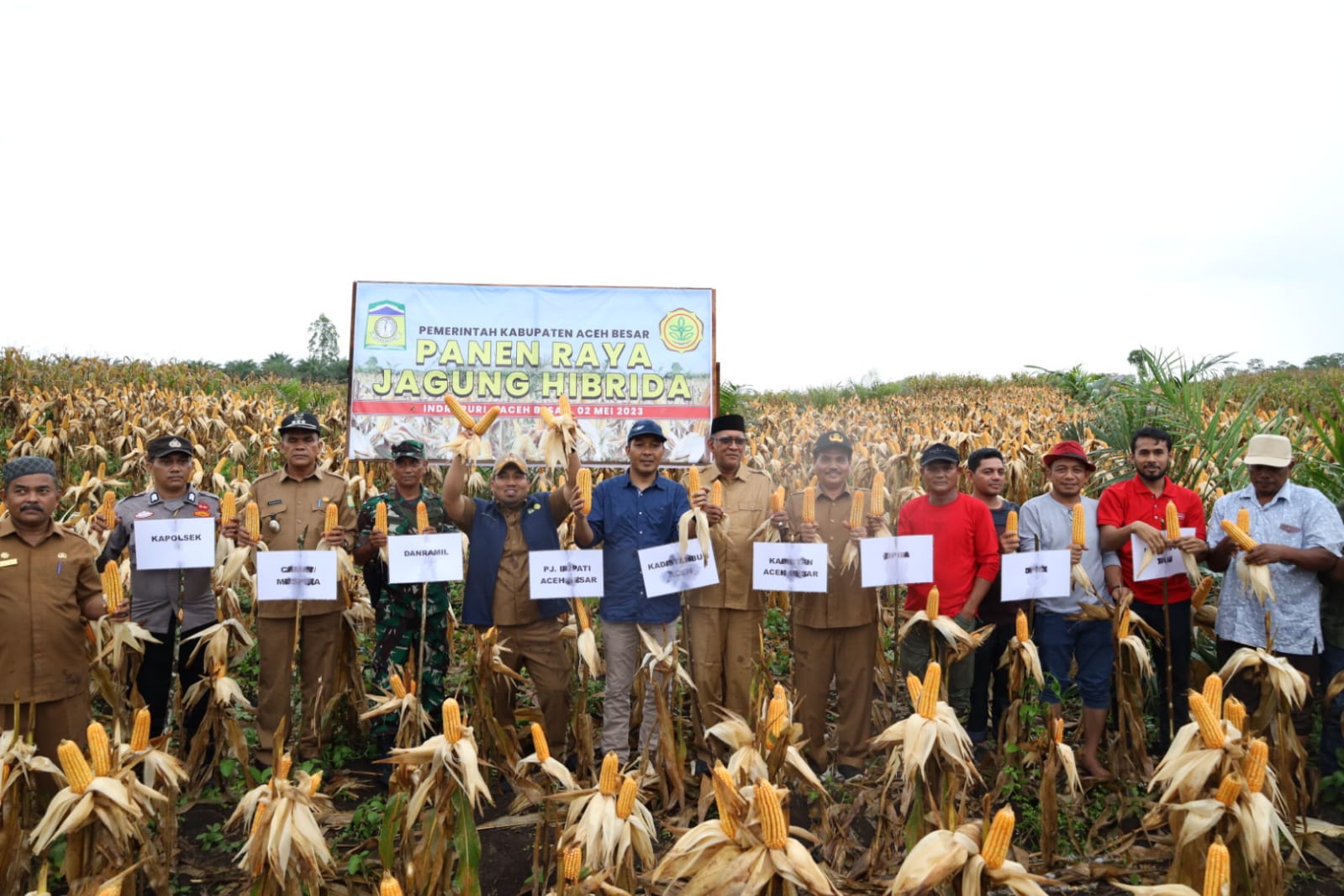 Pj Bupati Aceh Besar Panen Tanaman Jagung, Ajak Masyarakat Ikut Tanam