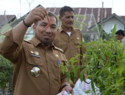 Pj Bupati Aceh Besar Ajak Masyarakat Manfaatkan Lahan di Pekarangan Rumah