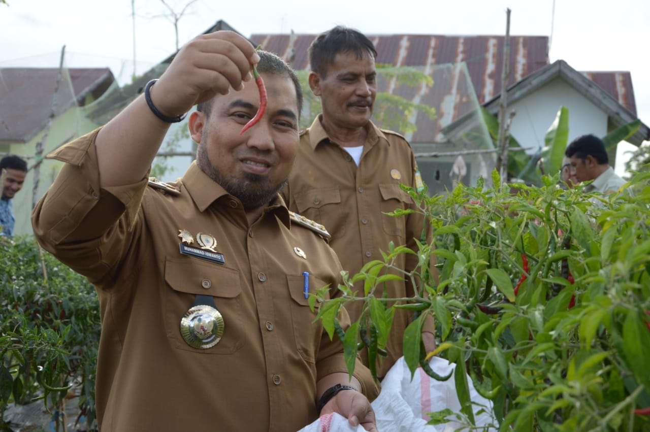 Pj Bupati Aceh Besar Ajak Masyarakat Manfaatkan Lahan di Pekarangan Rumah