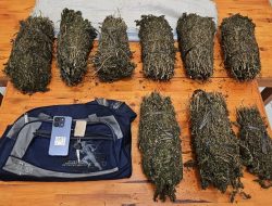 Tim Opsnal Satreskrim Polres Lhokseumawe Tangkap Tiga Pengedar Ganja