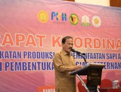 Sapi Aceh akan Dikembangkan di Pulo Aceh dan Pulau Raya