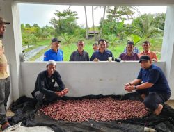 Pj Bupati Iswanto Panen Bawang di Gampong Saney