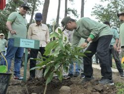 Pemerintah Aceh Tanam Pohon di Saree Aceh Besar