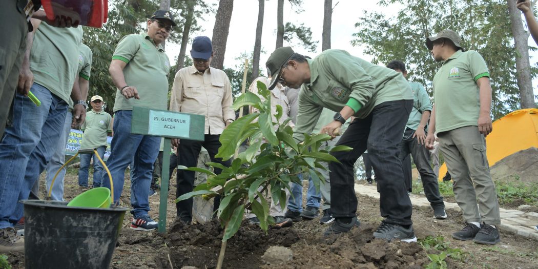 Pemerintah Aceh Tanam Pohon di Saree Aceh Besar