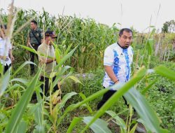 Pj Bupati Aceh Besar Tinjau Kebun Jagung dan Melon Yonif Raider 112/DJ
