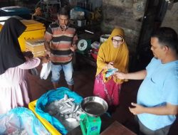 Harga Ikan di Simeulue Naik, Harga Daging Stabil