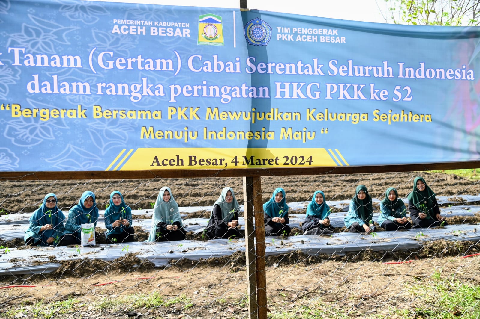 Peringati HKG Ke 52, Pengurus PKK Aceh Besar Tanam Cabai di Kajhu