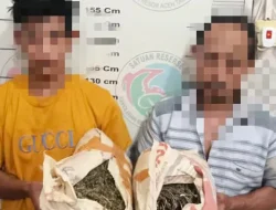 Bawa Narkotika, Dua Warga Aceh Tamiang Dicokok Polisi