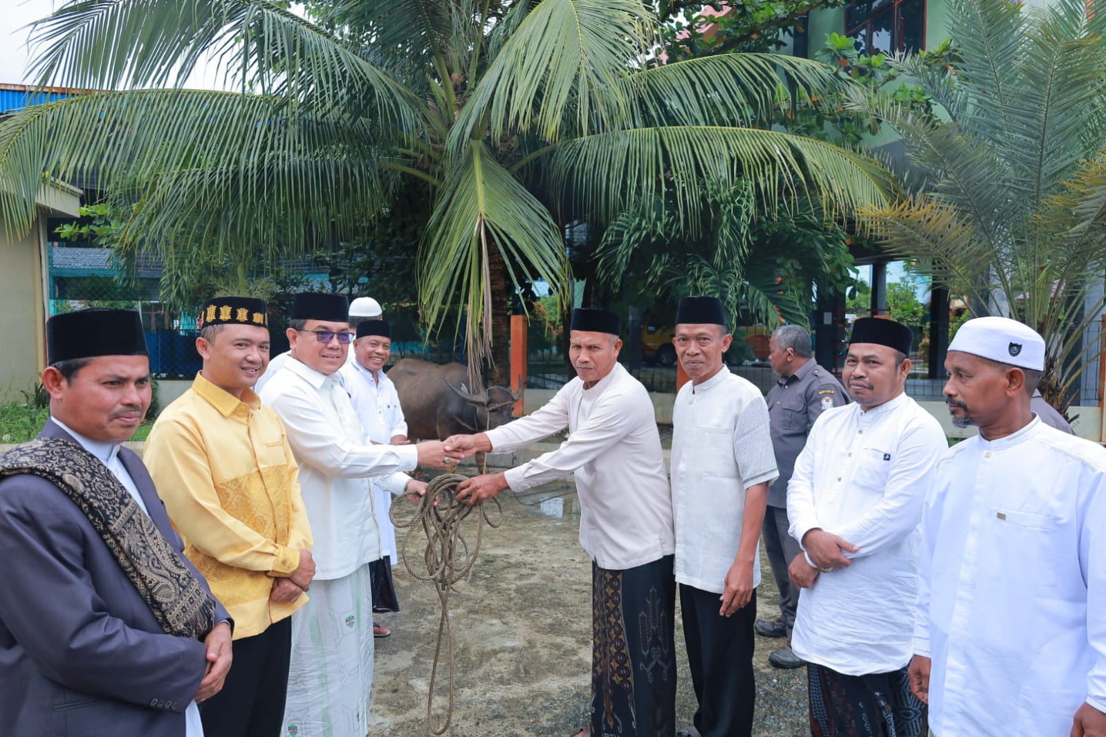 Pemkab Aceh Barat Sembelih 38 Ekor Kerbau untuk Qurban