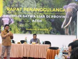 Pemerintah Sepakat Minimalisir Konflik Antara Satwa Liar dan Manusia di Aceh