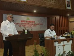 2015-2024 Aceh Telah Terima Rp 44,2 Triliun Dana Desa