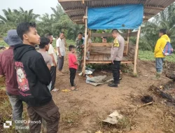 Tersambar Petir, Satu Orang Penjaga Keamanan Meninggal di Aceh Timur