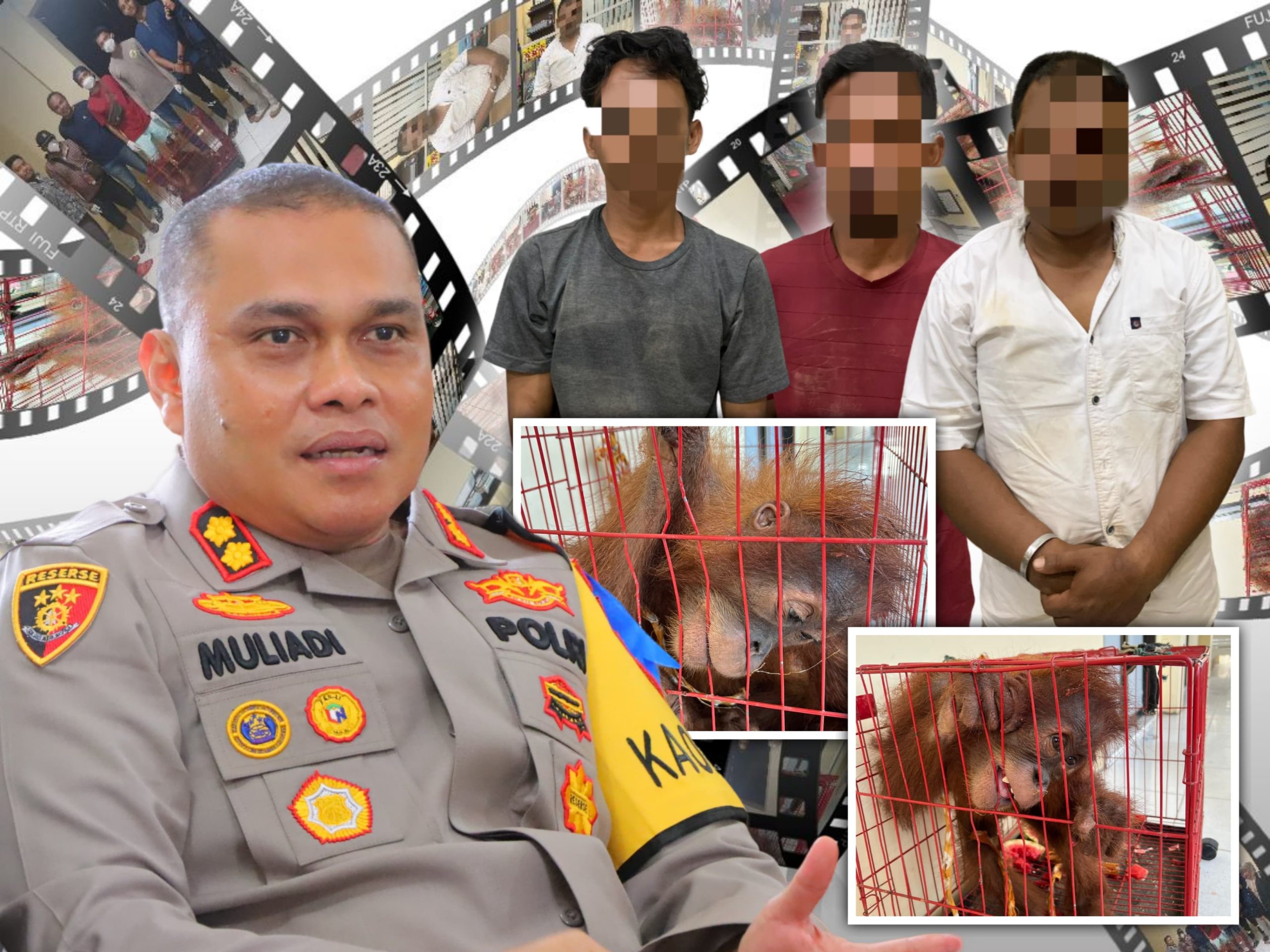 Polisi Tamiang Tangkap Tiga Pelaku Perdagangan Satwa dilindungi