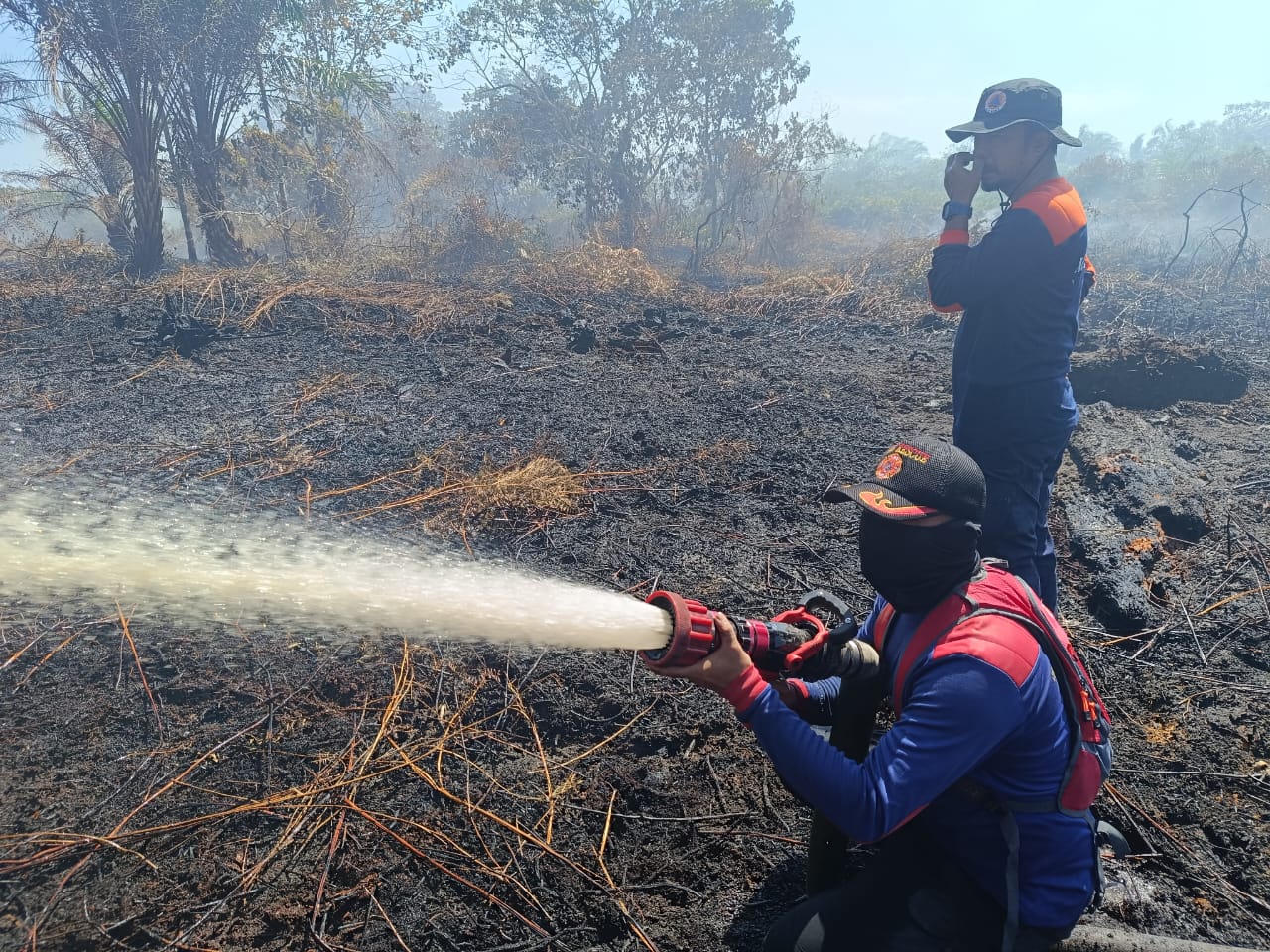Pemkab Aceh Barat Tetapkan Status Siaga Darurat Karhutla