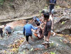 Pohon Tumbang Timpa Dua Pengujung Wisata Air Terjun di Aceh Besar