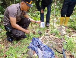 Warga di Aceh Temukan Kerangka Manusia Diduga Pelajar Hilang