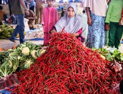 Harga Bahan Pokok di Aceh Besar Masih Stabil