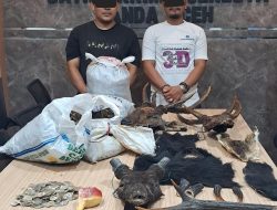 Dua Warga Aceh Diamankan Polisi Terkait Perdagangan Satwa Liar