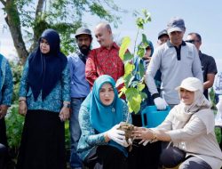Tanam Murbei di Aceh Besar, Langkah Pemerintah Aceh Hidupkan Kembali Industri Sutera Aceh Tanam Murbei di Aceh Besar, Langkah Pemerintah Aceh Hidupkan Kembali Industri Sutera Aceh