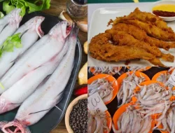 Ikan Lumi Akan Dijadikan Ikon Kuliner Khas Aceh Barat