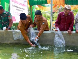 Tebar Benih dan Panen Raya di Aceh barat